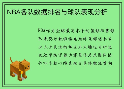 NBA各队数据排名与球队表现分析