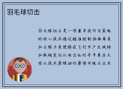 羽毛球切击